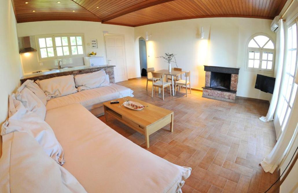 Villa Kastri Apartments ヴァシリキ エクステリア 写真
