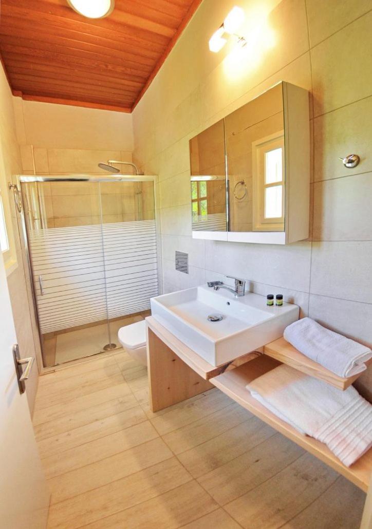 Villa Kastri Apartments ヴァシリキ エクステリア 写真